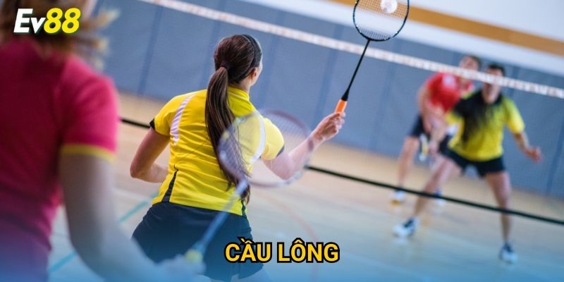 Cầu Lông Ev88 – Cá Cược Thể Thao Gay Cấn & Hấp Dẫn 2025
