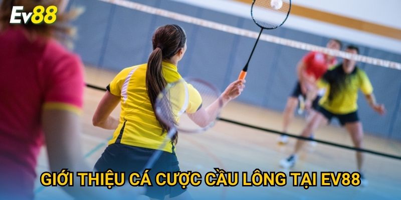 Giới thiệu cá cược cầu lông tại Ev88