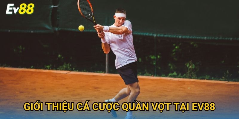 Giới thiệu cá cược quần vợt tại Ev88