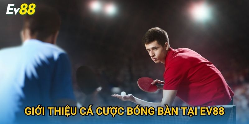 Giới thiệu cá cược bóng bàn tại Ev88