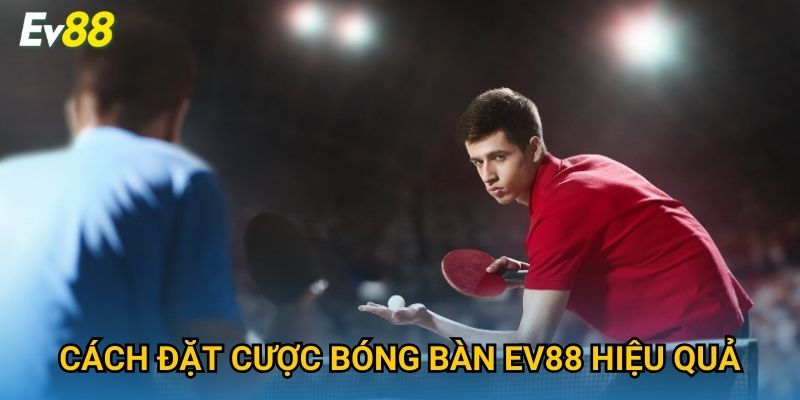 Cách đặt cược bóng bàn Ev88 hiệu quả