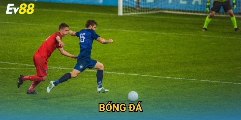 Bóng Đá Ev88 – Cá Cược Thể Thao Sôi Động & Đỉnh Cao 2025