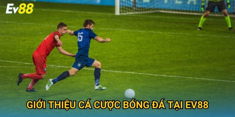 Giới thiệu cá cược bóng đá tại Ev88