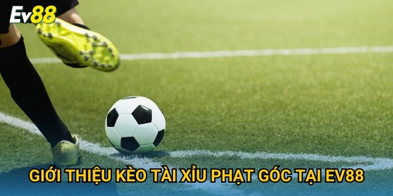 Giới thiệu kèo tài xỉu phạt góc tại Ev88