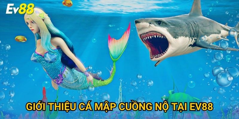 Giới thiệu Cá Mập Cuồng Nộ tại Ev88