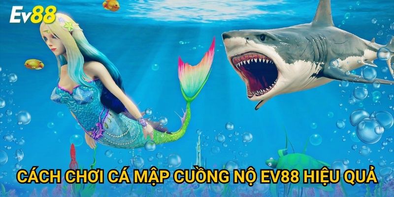 Cách chơi Cá Mập Cuồng Nộ Ev88 hiệu quả