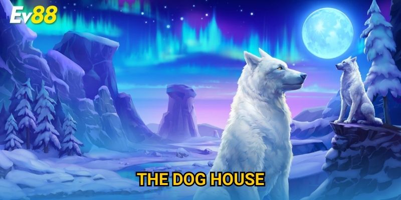 The Dog House Ev88 – Slot Cún Cưng Đáng Yêu & Thưởng Lớn 2025