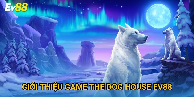 Giới thiệu game The Dog House Ev88