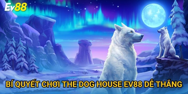Bí quyết chơi The Dog House Ev88 dễ thắng